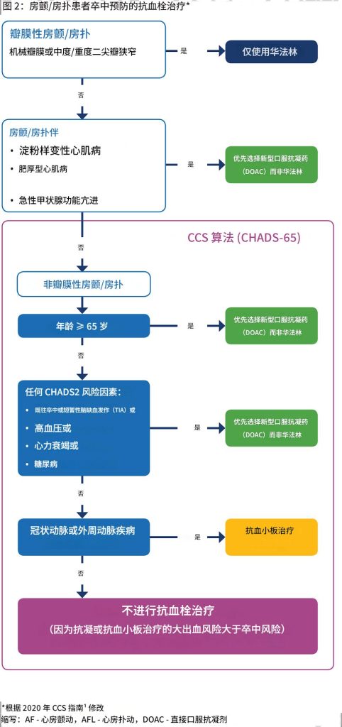 心房颤动——诊断和治疗