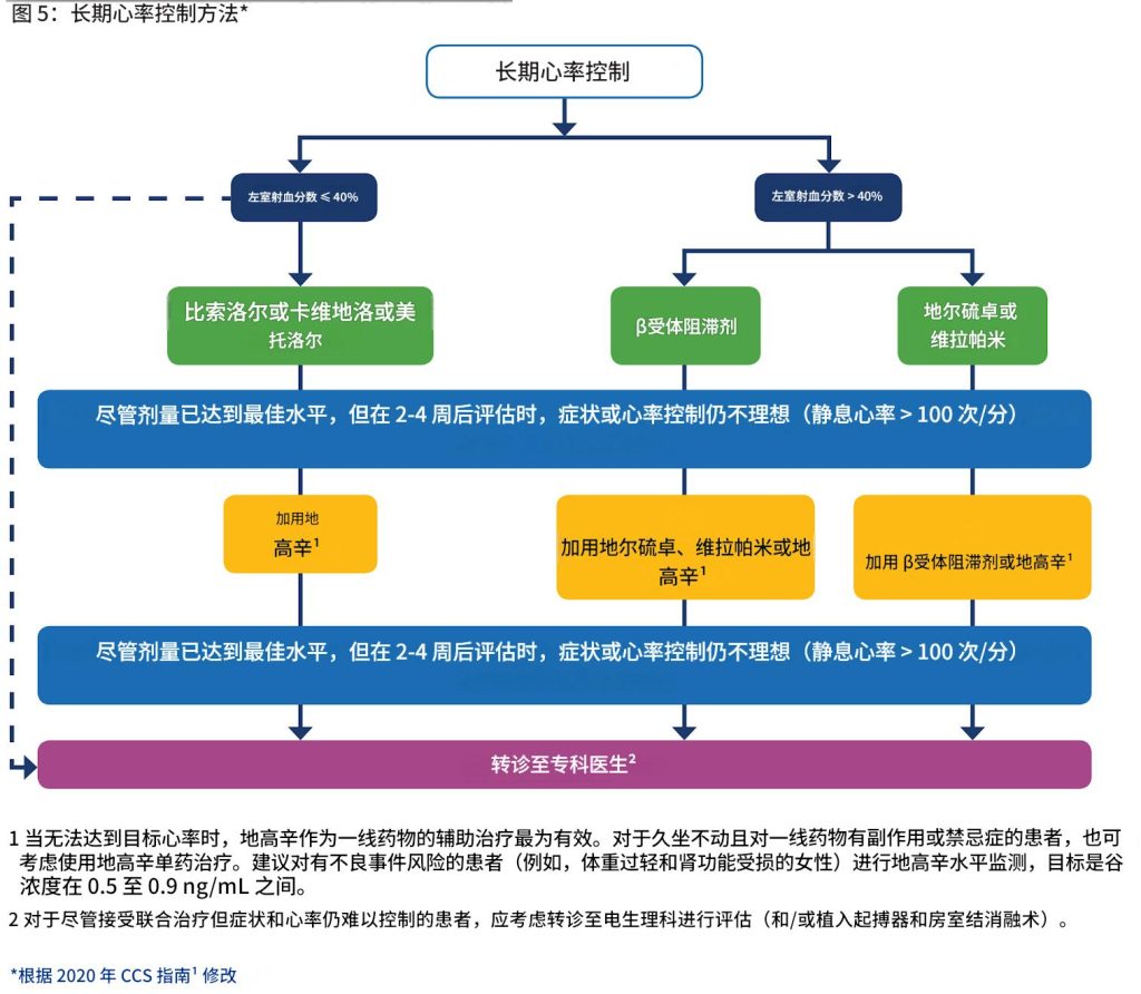 心房颤动——诊断和治疗
