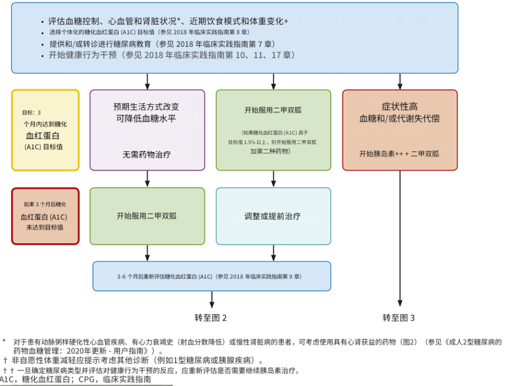 糖尿病管理