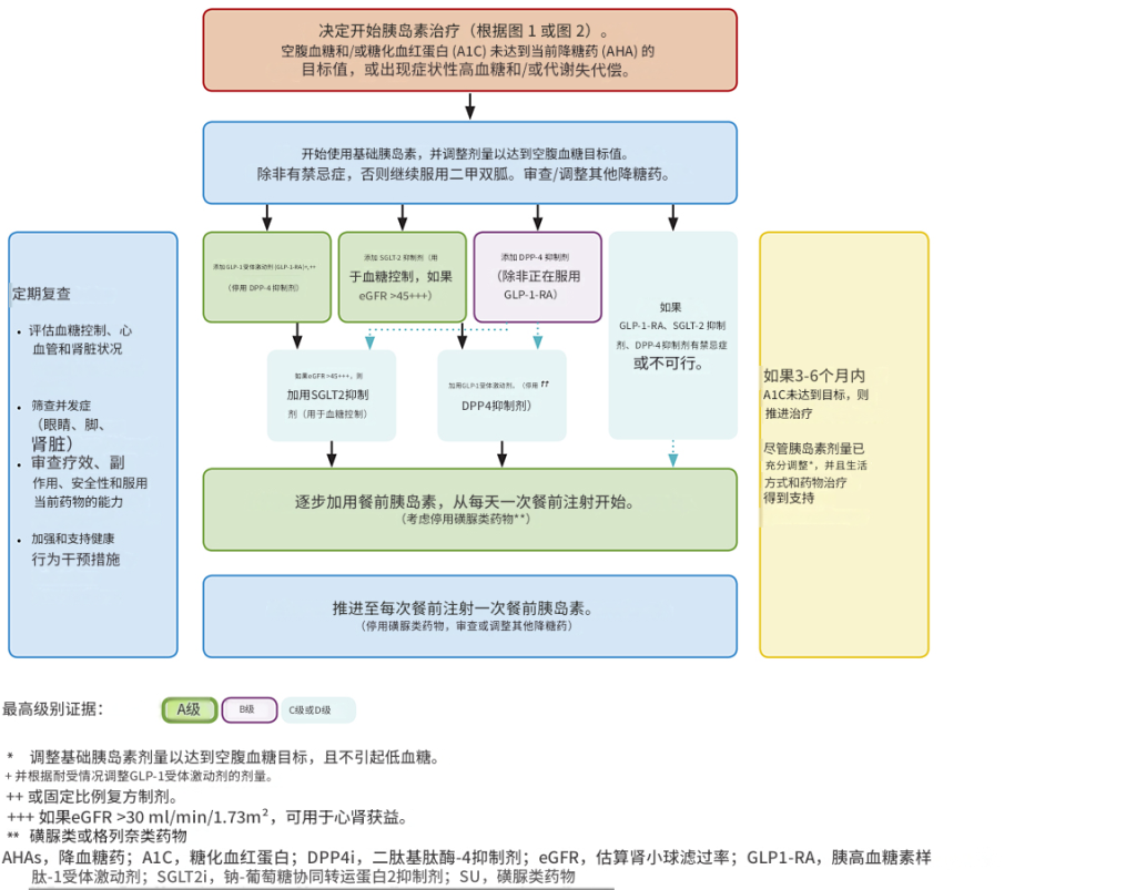 糖尿病管理
