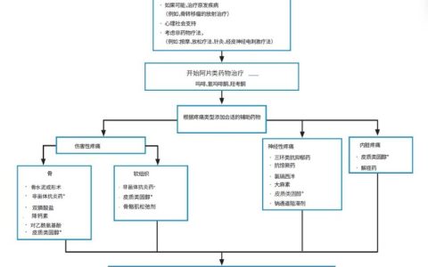 姑息治疗管理–疼痛