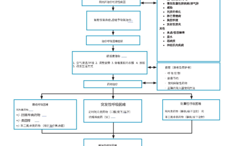 姑息治疗管理–呼吸困难