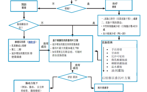 姑息治疗管理–便秘