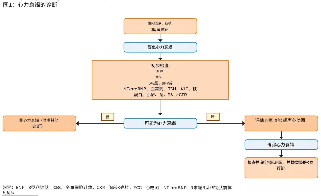 心力衰竭——诊断和治疗