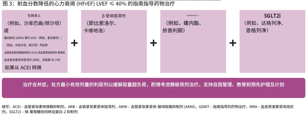 心力衰竭——诊断和治疗