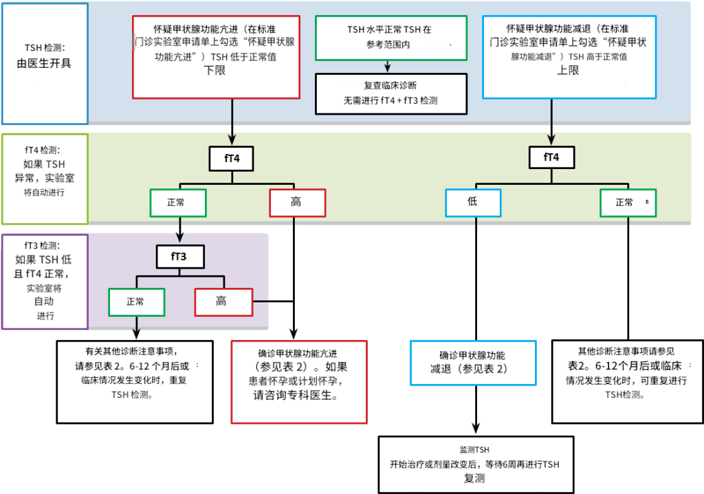 甲状腺功能检测在甲状腺功能障碍诊断和监测中的应用