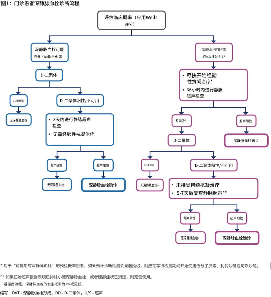 静脉血栓栓塞症——诊断和治疗