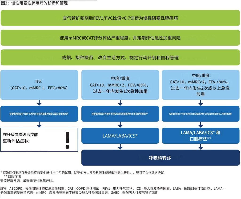 慢性阻塞性肺疾病(COPD):诊断和治疗
