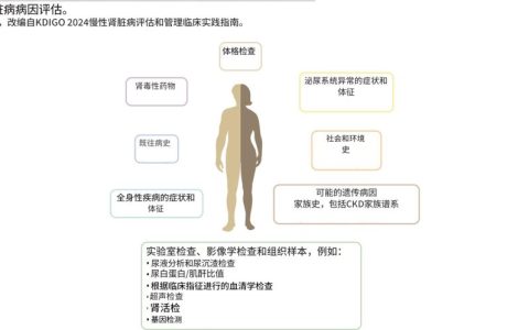 慢性肾脏病
