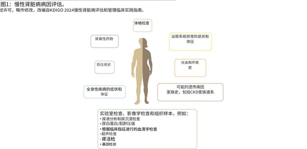 慢性肾脏病