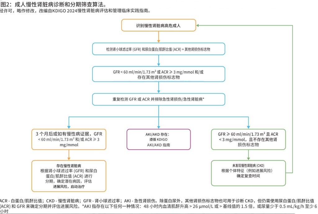 慢性肾脏病