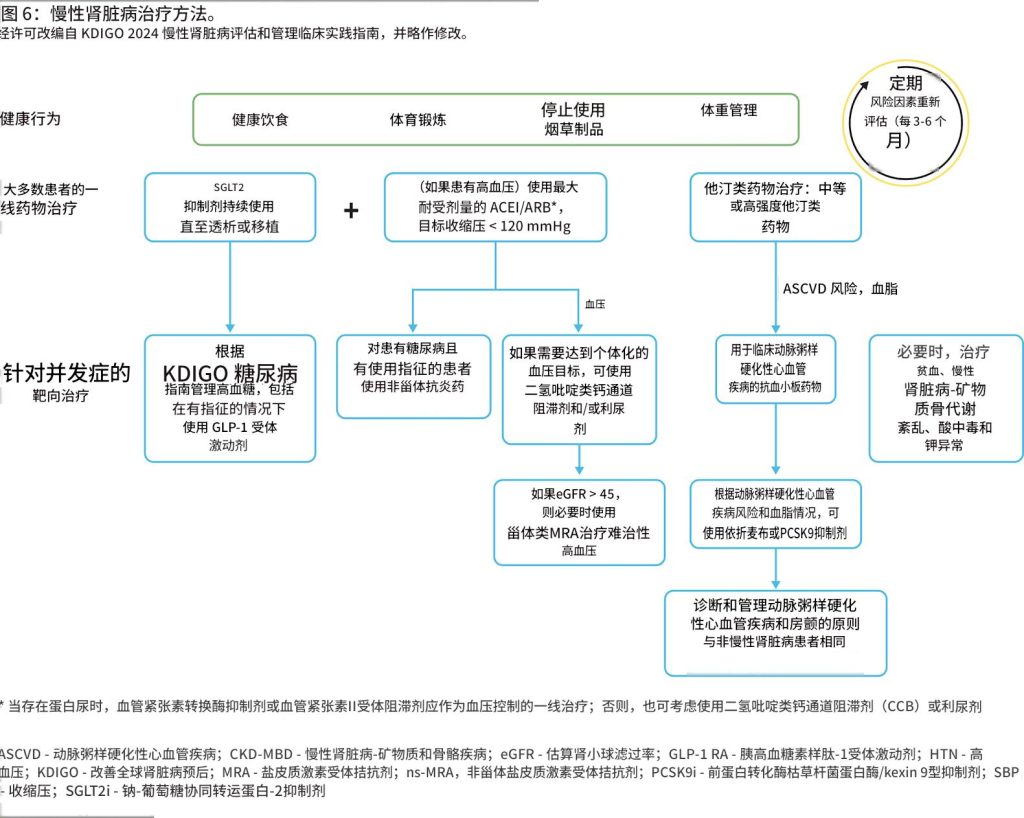 慢性肾脏病